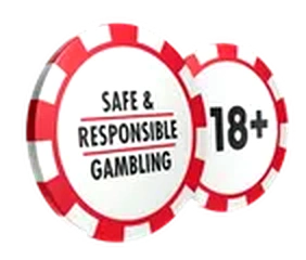 Safe and Responsible Gambling 18+ badge